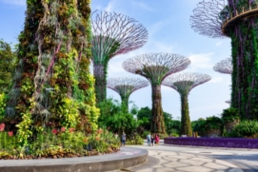 Dubai, Maldives, Malaysia, Singapore & Hong Kong