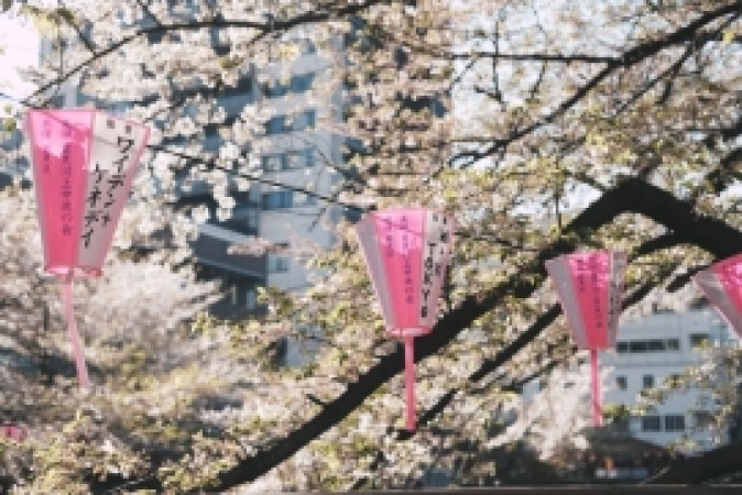 Asia Voyage With Bali Retreat & Tokyo Cherry Blossom